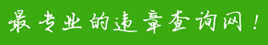 手机版最专业的违章查询网